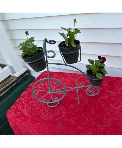 Metal Bike Pansy planter