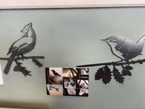 Metalbirds Gift