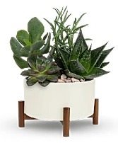 Mid Century Planter Garden Ceramic planter w/ wooded base
