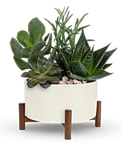 Mid Century Planter Garden Ceramic planter w/ wooded base