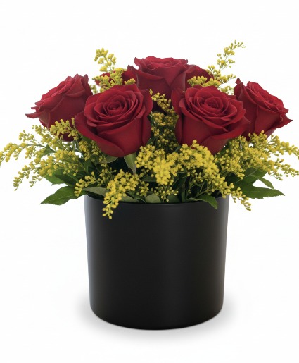 Midnight Crimson Harmony Valentine's Day