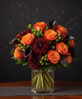 Midnight Velvet  Flowers 