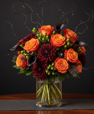 Midnight Velvet  Flowers 