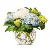 Mighty Hydrangea Arrangement