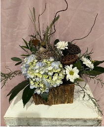 Mills Pond Bark box with bird 
