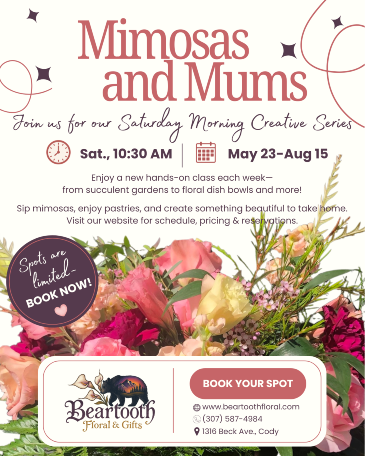 Mimosas & Mums: Creative Series June 13: Mini Succulent Gardens in Cody, WY | BEARTOOTH FLORAL & GIFTS