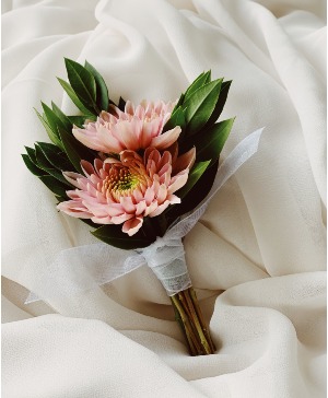 Mini blush dahlia 