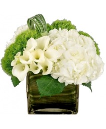 Mini Calla Medley 