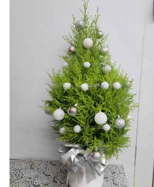 Mini Christmas tree  Christmas 