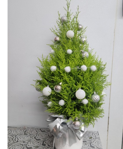 Mini Christmas tree  Christmas 