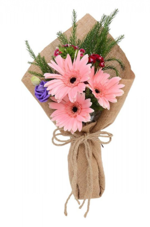 Mini. Gerbera Daisy Cut Bouquet