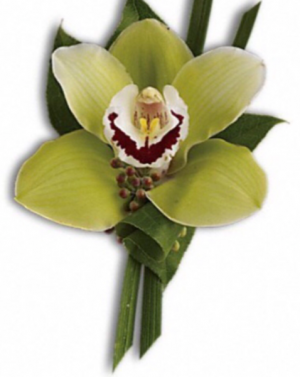 Mini green cymbidium Boutoneire  Boutoneire 