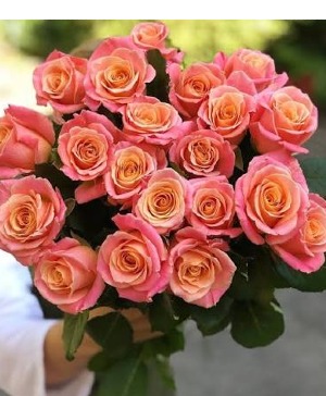 Miss Piggy Roses Vase Arrangement 