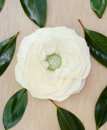 Mississippi Queen Soap Flower Magnolia Scent