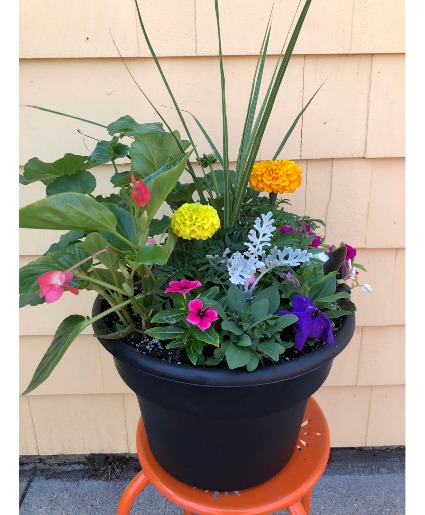 Mix annual planter planter