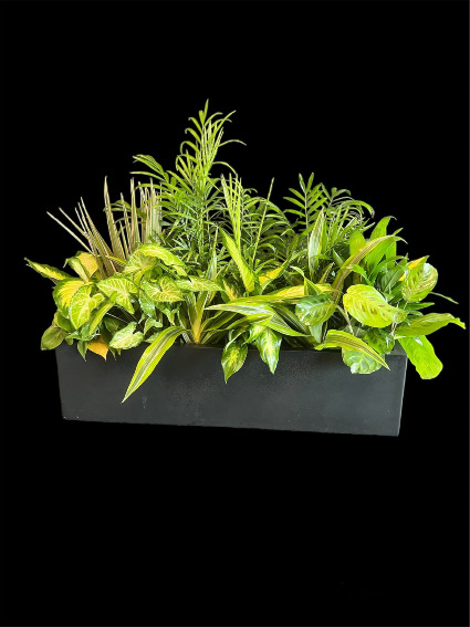 Mix Green Planter  