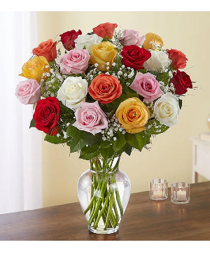 Mix roses 