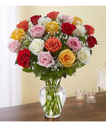 Mix roses 
