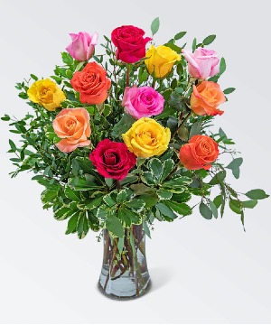 Mixed Roses  Roses 