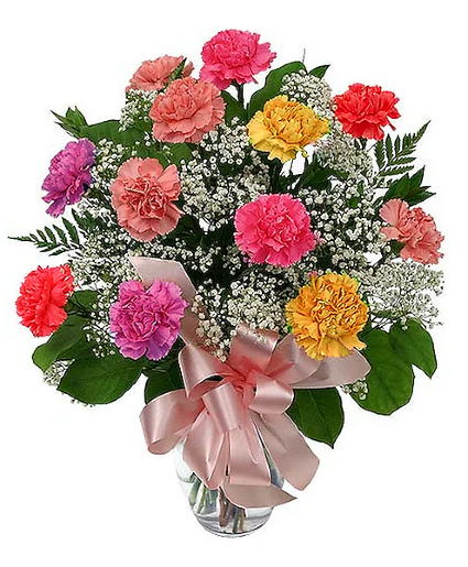 Mixed Carnations  