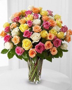Mixed Colored Roses Mixed Colored Roses 