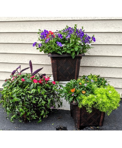 Mixed Combo Patio  Pot
