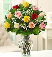 12 mixed roses w/ baby breath 