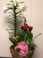 Mixed Easter basket Plant Basket