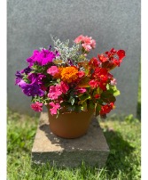 Mixed Flower Garden Placement