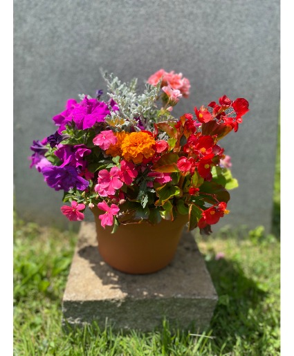 Mixed Flower Garden Placement