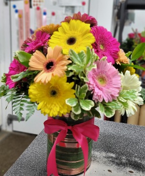 Mixed Gerveras daysies  