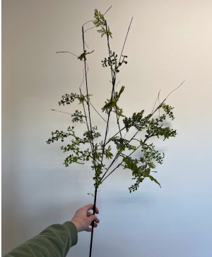 Mixed Leaf Branch 