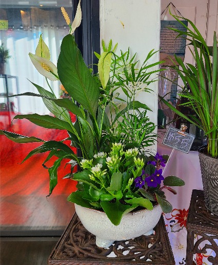 Mixed Planter  