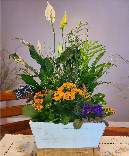 Mixed Planter  
