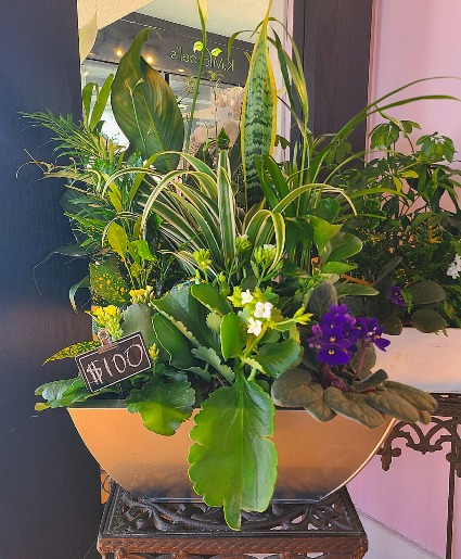 Mixed Planter  