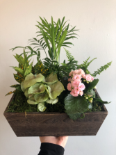 Mixed Planter (Dark Wash) 