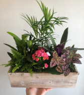 Mixed Planter (Light Wash) 