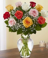 Mixed Roses 