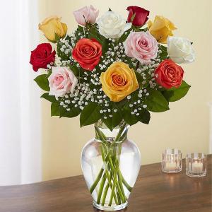 Mixed Roses 