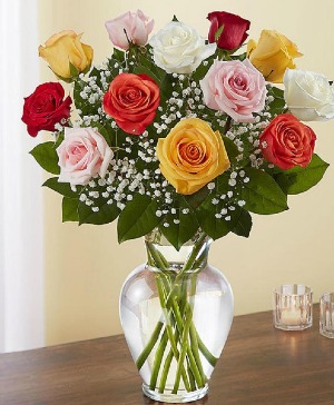 Mixed Roses 