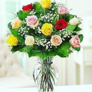 1 Dozen Assorted Color Roses  Arrangement 