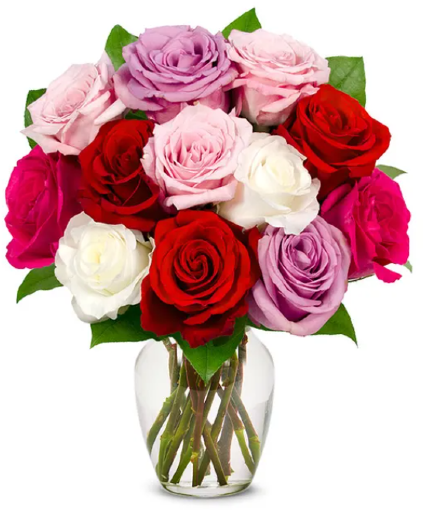 Mixed Roses Mixed Roses