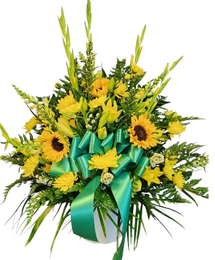 Mixed Sunflower  