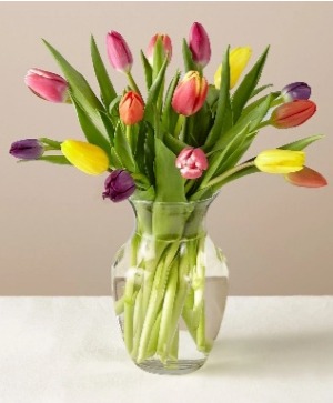 MIXED TULIPS FRESH FLOWERS