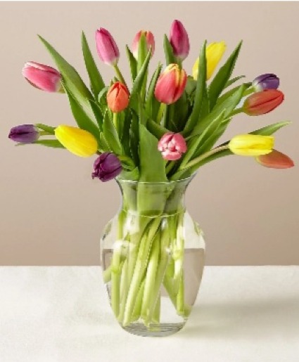 MIXED TULIPS FRESH FLOWERS