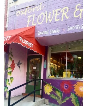 OUR STOREFRONT...in ALLEY next to St. Mary's   Church off East High St.. Summer hours Mon, Tues, Thurs and Fri 9 till 12