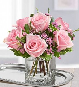 (R) CUBE VASE WITH 6 PINK ROSES WITH FILLER!  Wax flower if in season or baby's breath. ( roses vary in light to dark pink weekly)