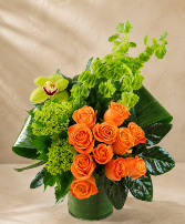 Moder orange  