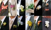 Modern boutonniere Boutonniere