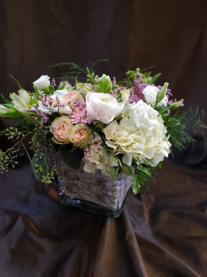 Garden grown mix compact low